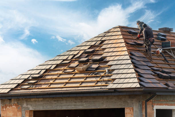 Best Hot Roofs  in Daingerfield, TX